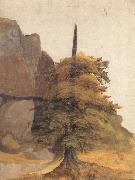 Albrecht Durer A Tree in a Quarry oil on canvas